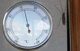 Das Thermometer an der Stettiner Hütte zeigt +2°C. (Foto: Erich Kraller)